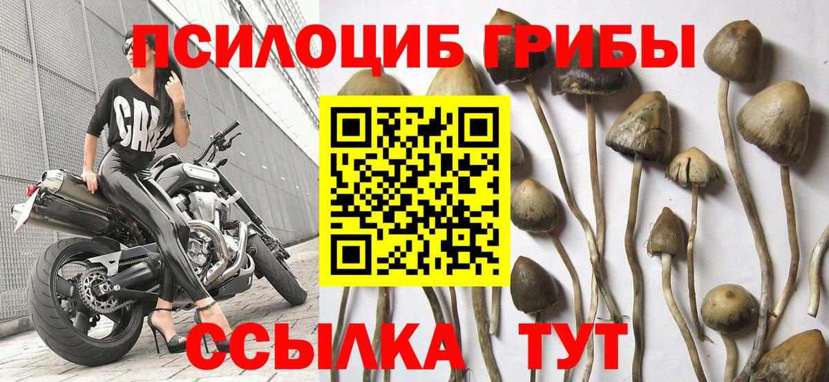 даркнет сайт  Вход с VPN  Изобильный  Псилоцибиновые грибы мицелий 